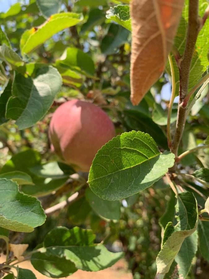 مبيت وإفطار Lancié Le Grain De Louise المظهر الخارجي الصورة